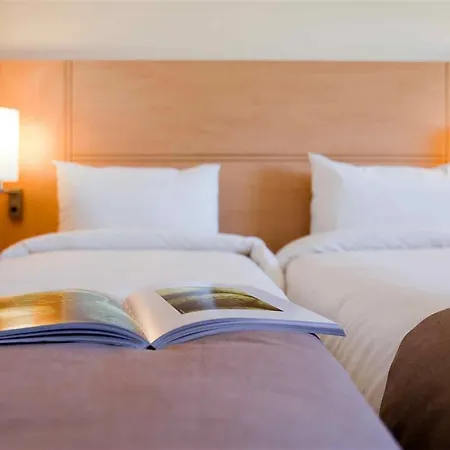 Ibis Messe Airport Hotel 3*