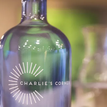 Ibis Messe Airport Hotel Zurich