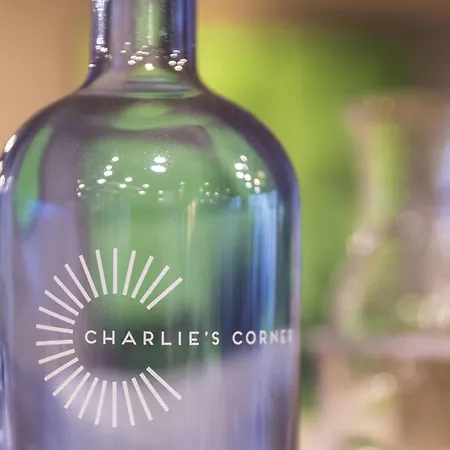 Ibis Messe Airport Hotel 3*