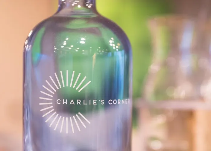 Ξενοδοχείο Ibis Messe Airport Ζυρίχη