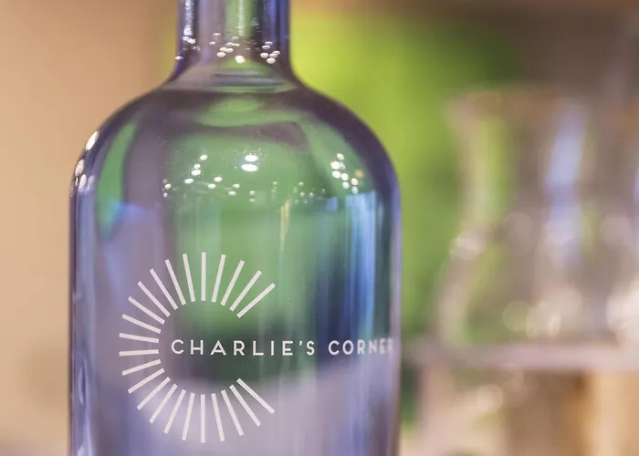 Ibis Messe Airport Hotel 3*