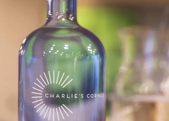 Ibis Messe Airport 3* Zurich