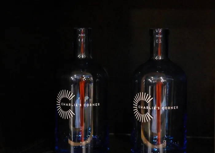 Ibis Messe Airport Hotel